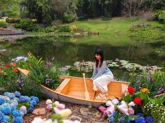 -云溪植物园