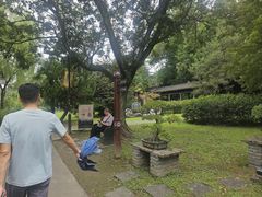 -扬州大运河文化旅游度假区·盆景园