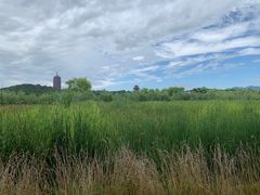 -永定河休闲森林公园