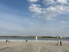 -武清南湖绿博园