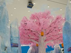 -湘江欢乐城欢乐雪域