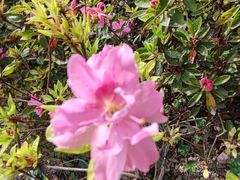 -常熟路(地铁站)