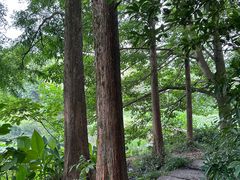 -西院1号(龙井店)