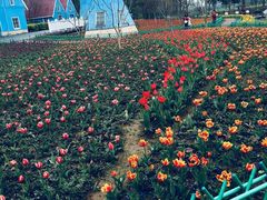 -宜兴龙背山森林公园