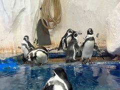 -太平洋海底世界