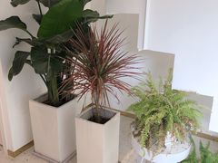 -花沐 FLOWER BATH(凤凰城店)