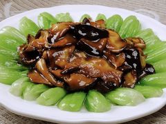 香菇菜心-君庭中餐馆(华强路店)