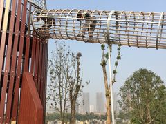 -枫香湖儿童公园