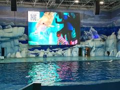 -福州罗源湾海洋世界旅游区