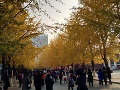 -辽宁大学(崇山校区)