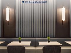 -新加坡乌节希尔顿酒店 (SG Clean)