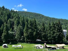 -武陵山森林公园