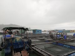 -海上驿站渔家菜馆