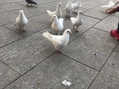 -南昌动物园