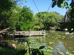 -上海醉白池公园