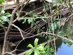 -海南槟榔谷黎苗文化旅游区
