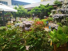 -山菌美食苑(振兴路店)