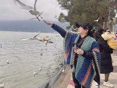 -七彩云南欢乐世界