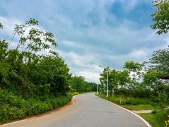 -青龙山国家森林公园