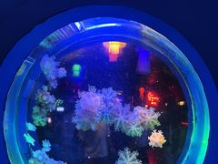 -太平洋海底世界