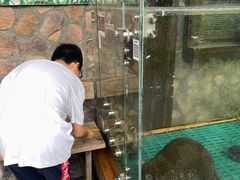 -珠海海泉湾神秘岛亲子乐园