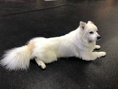 -Ms.Pilates 普拉提技术(尚悦湾陆家嘴店)