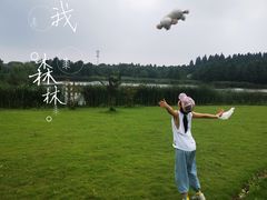 -东平国家森林公园