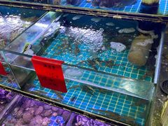 水产区-金海湾海鲜排档(朱家尖店)