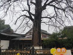 -常熟方塔园