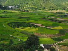-贵州百里杜鹃风景名胜区