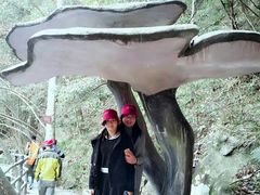 -磐安十八涡风景区