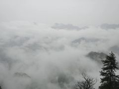 -塔云山