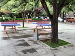 -唐城墙遗址公园