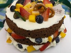 -山与蓝·轻糖鲜果蛋糕(勒泰店)
