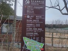 -上海长兴岛郊野公园