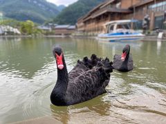 -中国傩城