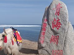 -青海湖国家重点风景名胜区