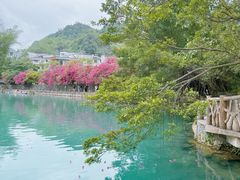 -靖西鹅泉风景区