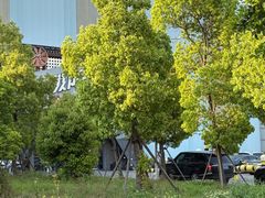 -极限PLAY运动娱乐新世界·团建派对表演休闲馆·室内高空游乐园