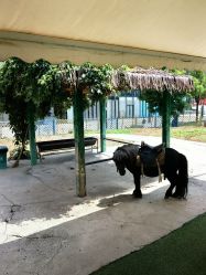 -萌宠亲子动物乐园(槐房万达店)