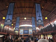 -巴黎迪士尼乐园