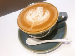 -飞行喵MR PILOT|猫舍·猫咖(静安大融城店)