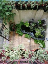 -素颜秀·纹眉·野生眉·纹唇半永久