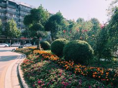 -武汉市第四中学