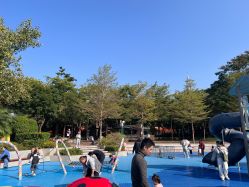 -深圳市儿童乐园