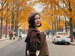 -三里屯东五街银杏大道