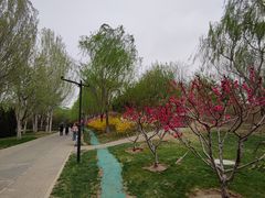 -北坞公园
