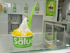 -Salud撒露欧洲冻酸奶(798艺术区店)