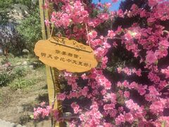 -北京凤凰岭