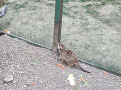 -水上乐园·欢乐世界